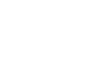 Evolution games at Bitcoin Penguin Casino